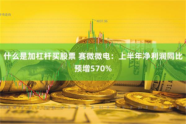 什么是加杠杆买股票 赛微微电：上半年净利润同比预增570%