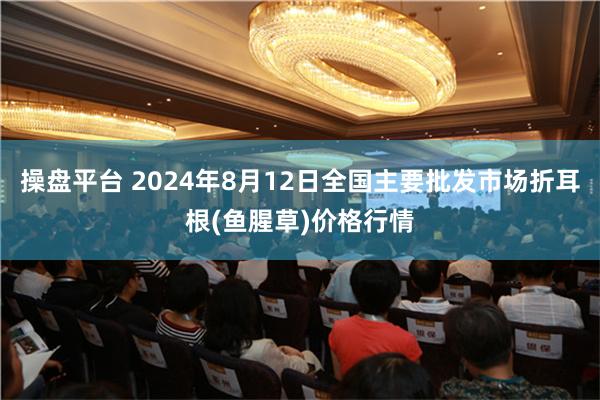 操盘平台 2024年8月12日全国主要批发市场折耳根(鱼腥草)价格行情