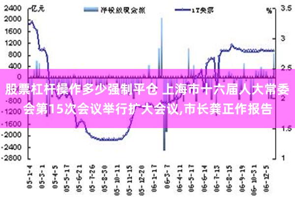 股票杠杆操作多少强制平仓 上海市十六届人大常委会第15次会议举行扩大会议,市长龚正作报告