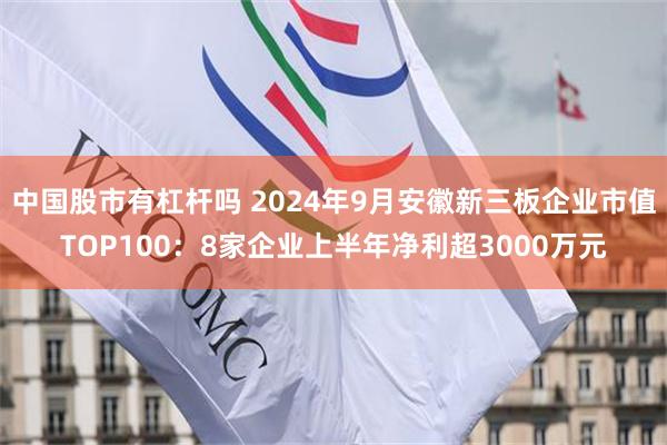 中国股市有杠杆吗 2024年9月安徽新三板企业市值TOP100：8家企业上半年净利超3000万元