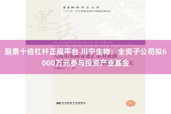 股票十倍杠杆正规平台 川宁生物：全资子公司拟6000万元参与投资产业基金