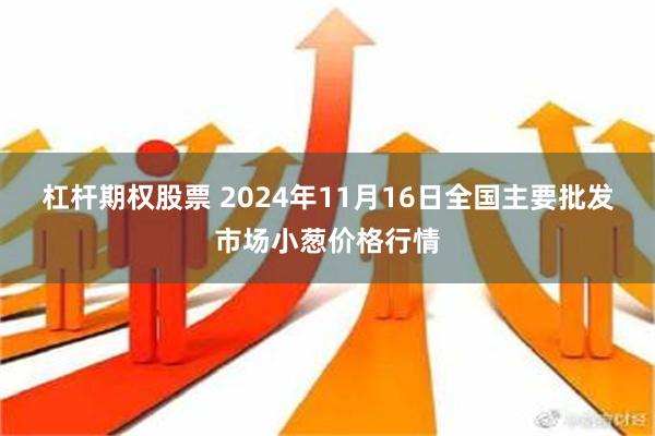 杠杆期权股票 2024年11月16日全国主要批发市场小葱价格行情