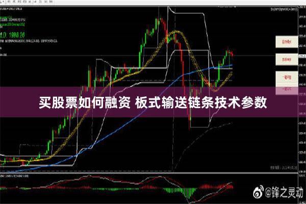 买股票如何融资 板式输送链条技术参数