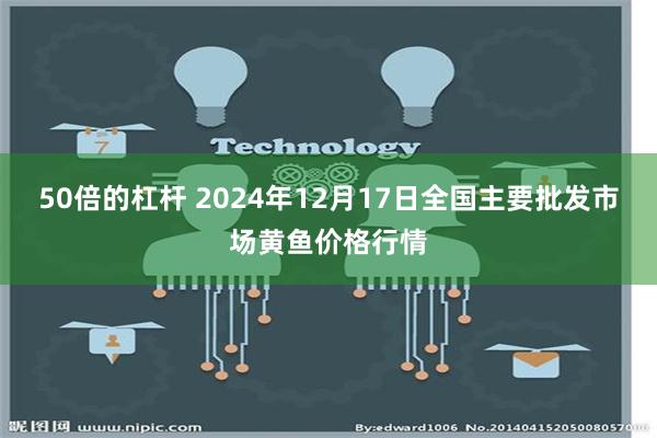 50倍的杠杆 2024年12月17日全国主要批发市场黄鱼价格行情